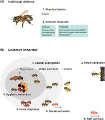 Fungi and a few other bacteria are good. Effects Of Parasites And Pathogens On Bee Cognition Gomez Moracho 2017 Ecological Entomology Wiley Online Library