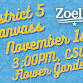 Canvass — Zoelle for Council event image
