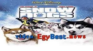 Https Video Egybest News Watch Php Vid 1b817849c Dogs Husky Animals