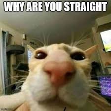 Pin By Joyce East East Antiques At On Based Department Stupid Memes Funny Memes Stupid Funny Memes