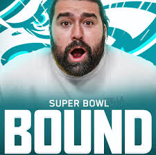 BIRDS ARE GOING TO THE SUPER BOWL