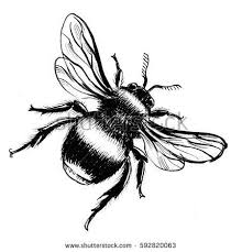 Dessins De Tatouage 2019 Bee Drawing Schwarz Weiss Zeichnungen Tattoos Zeichnen Bienenkonigin Tattoo