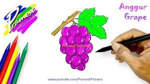 Buah tumbuhan perdu ini memang manis, dan ada bermacam jenis dari banyak daerah.di indonesia ada beberapa daerah yang terkenal karena anggurnya seperti. Anggur Cara Menggambar Dan Mewarnai Gambar Buah Buahan Untuk Anak Youtube