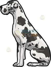 Black And White Spotted Dog Clipart A Spotted Great Dane Dog Great Dane Dogs Great Dane Cartoon Dog