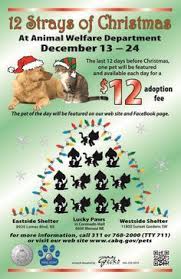 Maybe you would like to learn more about one of these? 110 Adoption Event Ideas Adoption Pet Adoption Animal Shelter