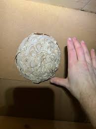 Image result for site:byggahus.se getingar