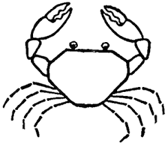 They also consist of very simple lines. How To Draw Cartoon Crabs In Easy To Follow Steps How To Draw Step By Step Drawing Tutorials