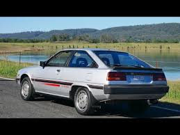 Image result for Cordia