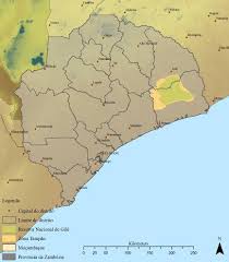 Image result for Indigofera laxiracemosa