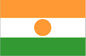 The national flag of ireland (irish: Niger Flag