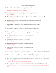 Sketch a respirometer and label its important features cellular respiration virtual lab. 34 Worksheet Photosynthesis And Cell Energy Biology Answers Worksheet Project List