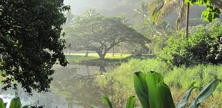 Maybe you would like to learn more about one of these? Garden Of Eden Q A