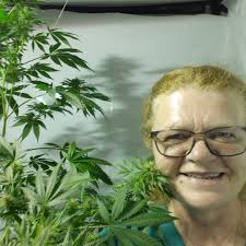 Alison Batt (@celtic.essentially) • Instagram photos and videos