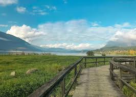 We are driving around in salmon arm, bc. 20 Epic Things To Do In Salmon Arm Bc Destinationless Travel