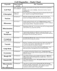 Cell Organelles And Its Functions Psc Online Book