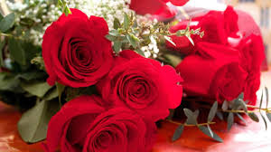 بوكية ورد احمر صور مجموعه من الزهور الحمراء تعبر عن الحب و