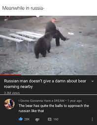 That Bear Isn T Gonna Mess With A Russian Again Memes