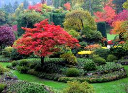 Magnificent Garden Butchart Gardens Beautiful Gardens Outdoor Landscaping