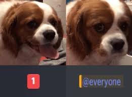 We make our money from private ads on our search engine. Everyone Discord Know Your Meme
