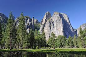 Check spelling or type a new query. Cathedral Rocks Yosemite National By Aimin Tang