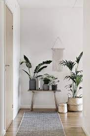 Brand Store Instagram Shop Ev Dekorasyon Dekoratif Ayakli Saksi Minimalist Oturma Odalari Antre Dekorasyonu Dekorasyon