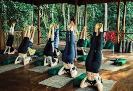 Maybe you would like to learn more about one of these? The Salty Pelican Yoga Surf Retreat Sri Lanka Balancegurus