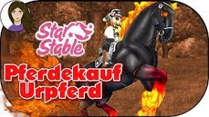 Wunderschone Seepferde Direkt Verliebt Star Stable News Sso Deutsch 03 06 20 Iseeseahorses ⭐ a cute gotland pony just arrived in our star stable horses app!