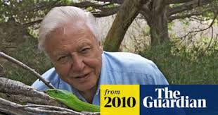 David Attenborough goes to Sky for 3D Flying Monsters programme