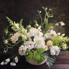 Check spelling or type a new query. 83 Likes 1 Comments Terra Bella Flowers Botanicals Terrabellaflowers On Instagram