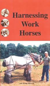 نتیجه جستجوی لغت [workhorses] در گوگل