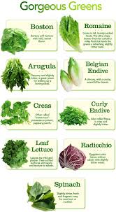 Types Of Greens Chart Different Types Of Lettuce And In 2019