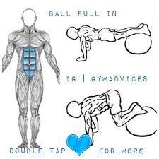 Upper body muscle names + oia. Exercise Summary Exercise Name Exercise Ball Pull In Main Muscle Abs Secondary Muscle S Upper Body Muscles Suppor Workout Names Ball Exercises Muscle Abs