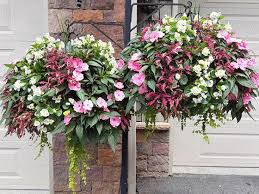 Jenly wholesale inc party supplies, 15420 sw 136th st, #19, miami, fl33196. Cut Flower Consolidation Automated Cart Pullers Four Combo Ideas Having Trouble Viewing This E Mail Click Here To See It On The Web Be In The Know Timely News And Commentary From Growertalks Facebook Growertalks Magazine Monday August 31