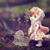 Cute wallpaper hd for laptop. Https Encrypted Tbn0 Gstatic Com Images Q Tbn And9gcqmzr5y Pxaiyyqayuztaxjtob4kgohd W8ioa8yxv9uo6qhxxm Usqp Cau