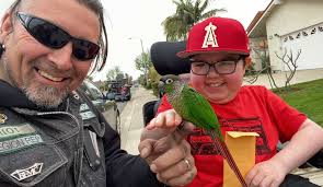 Life & Work with Jeff Wyatt