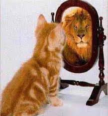 images?q=tbn:ANd9GcQvklHfl7mDE_hQf2pGt8B