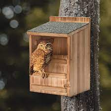 Large Owl House with Wood Shavings