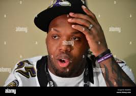 Suggs 2013 hi-res stock photography and images