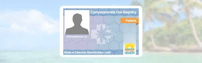 Since then, medical marijuana has become legal in florida. How Can I Purchase Medical Marijuana Kindhealth Miami