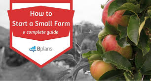 How To Start A Farm Your Complete Guide To Success