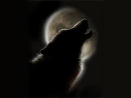 List Of Free Black Wolf Wallpapers Download Itl Cat All of the wolf wallpapers bellow have a minimum hd resolution (or 1920x1080 for the tech guys) and are easily downloadable by clicking the image and saving it. black wolf wallpapers download