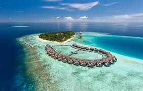The Islandchief