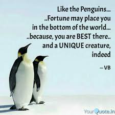 Best penguins quotes selected by thousands of our users! Best Penguin Quotes Status Shayari Poetry Thoughts Yourquote