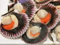 Questo canestrello, a forma classica di corona circolare ansata, ha un colore bruno scuro, una consistenza friabile e un profumo speziato di bosco e castagne. Canestrelli Molluschi