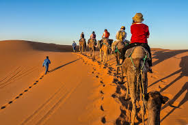 The sahara is the world's largest desert; Egypt Vs Morocco Which Destination Is Right For You Days To Come
