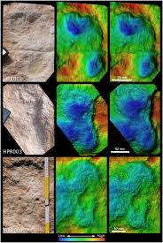 See more ideas about m&m characters, m m candy, peanut candy. Human Footprints Provide Snapshot Of Last Interglacial Ecology In The Arabian Interior Science Advances