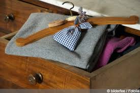 Mottenschutz fur kleiderschrank gegen kleidermotten mottenfalle. Kleidermotten Erkennen Und Bekampfen Gartendialog De