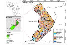 Image result for Diplacrum africanum
