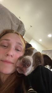 Hello, this is Dexter he is my best friend, but I unfortunately need to  find a new loving home for him. He loves to play, Run, and cuddle. He does  very well