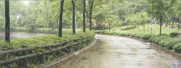 We have 67+ amazing background pictures carefully picked by our community. 33 Amazing Rain Animated Gif